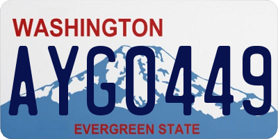 WA license plate AYG0449