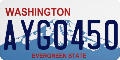 WA license plate AYG0450