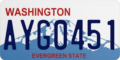 WA license plate AYG0451