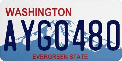 WA license plate AYG0480