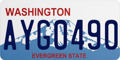 WA license plate AYG0490