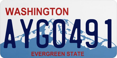 WA license plate AYG0491