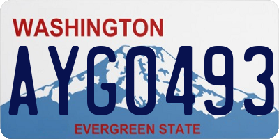 WA license plate AYG0493