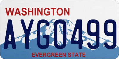 WA license plate AYG0499