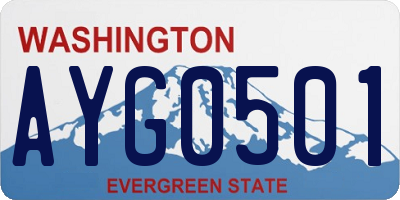 WA license plate AYG0501