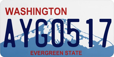 WA license plate AYG0517
