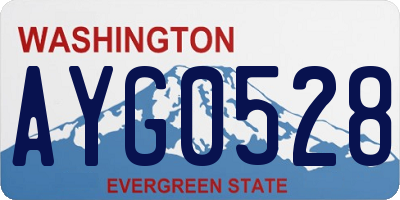 WA license plate AYG0528