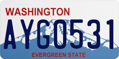 WA license plate AYG0531