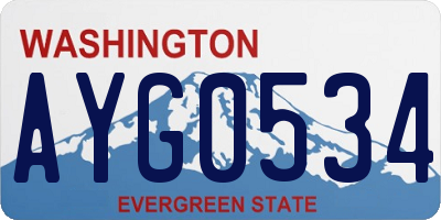 WA license plate AYG0534