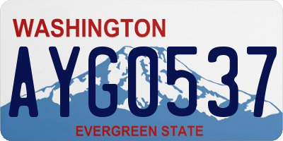 WA license plate AYG0537