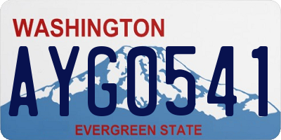 WA license plate AYG0541