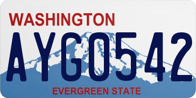 WA license plate AYG0542