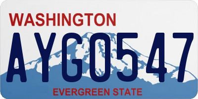 WA license plate AYG0547
