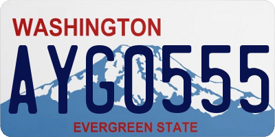 WA license plate AYG0555