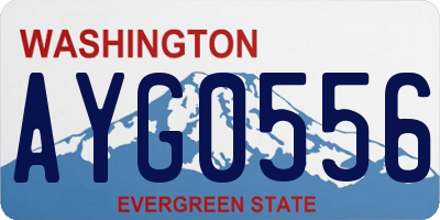 WA license plate AYG0556