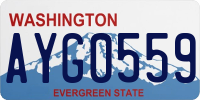 WA license plate AYG0559