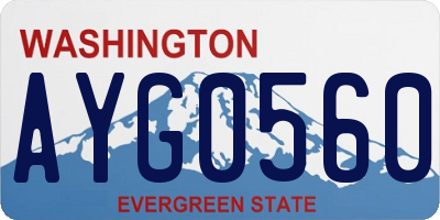 WA license plate AYG0560