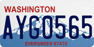 WA license plate AYG0565