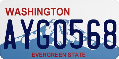 WA license plate AYG0568