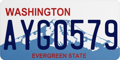 WA license plate AYG0579