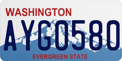 WA license plate AYG0580