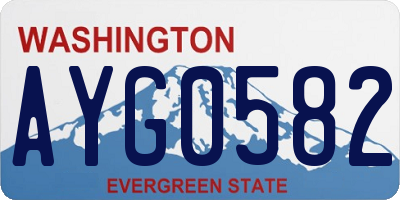 WA license plate AYG0582
