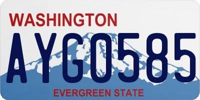 WA license plate AYG0585