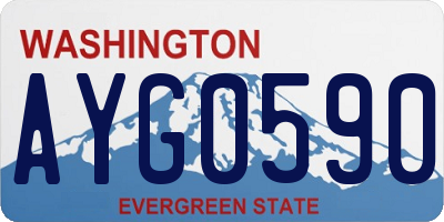 WA license plate AYG0590