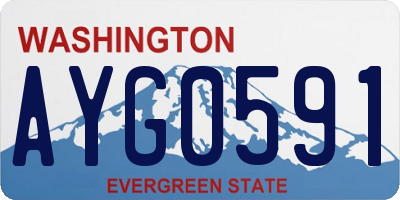 WA license plate AYG0591