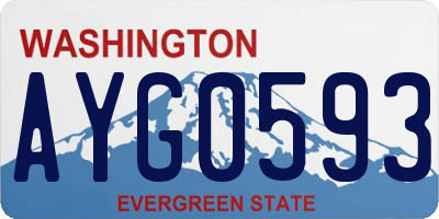WA license plate AYG0593