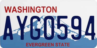 WA license plate AYG0594