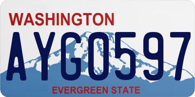 WA license plate AYG0597