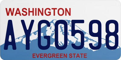 WA license plate AYG0598