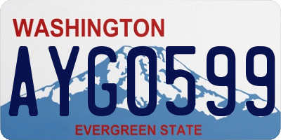 WA license plate AYG0599