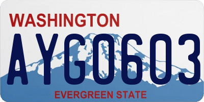 WA license plate AYG0603