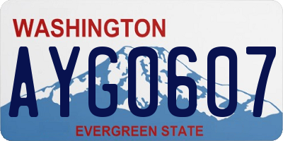 WA license plate AYG0607