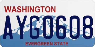 WA license plate AYG0608