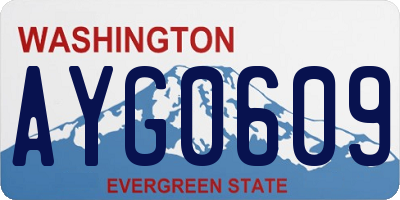 WA license plate AYG0609