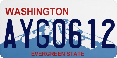 WA license plate AYG0612