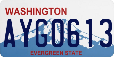 WA license plate AYG0613