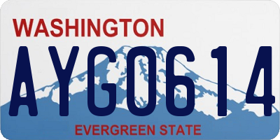 WA license plate AYG0614
