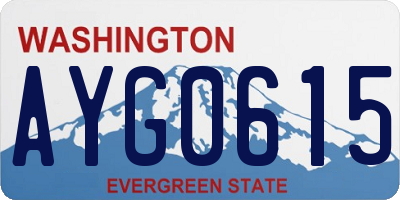 WA license plate AYG0615