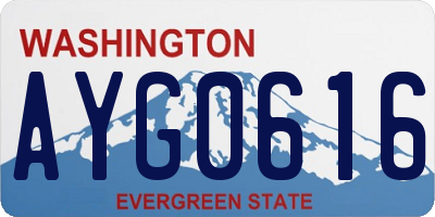 WA license plate AYG0616