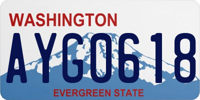 WA license plate AYG0618