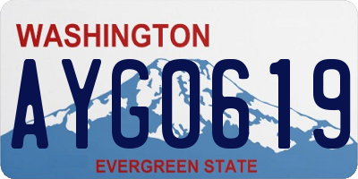 WA license plate AYG0619