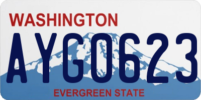 WA license plate AYG0623