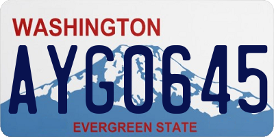 WA license plate AYG0645