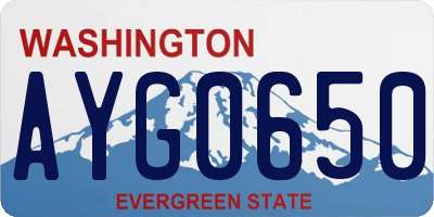 WA license plate AYG0650
