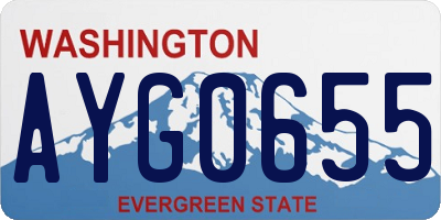 WA license plate AYG0655
