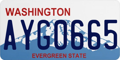 WA license plate AYG0665